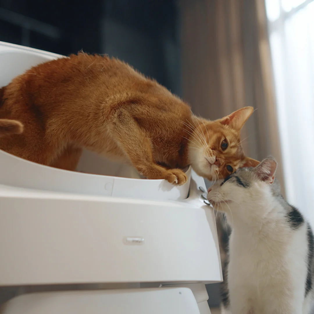 Smart Scoop-Free Cat Litter Box
