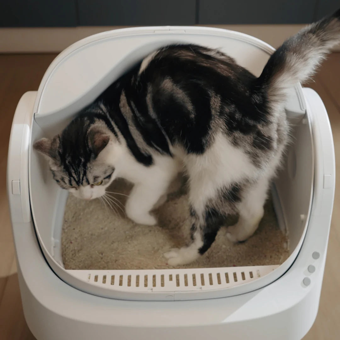 Smart Scoop-Free Cat Litter Box